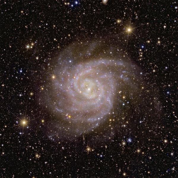 欧几里得望远镜:从“黑暗宇宙”任务中获得的首批图像