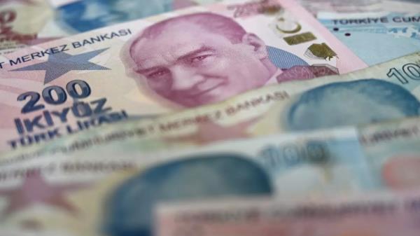 土耳其的公共储蓄计划未能打动经济学家
