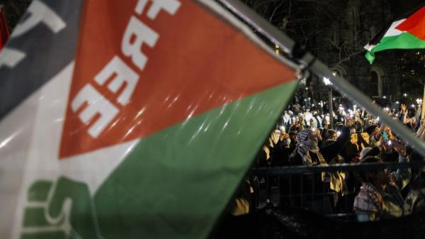 加沙战争:为什么校园抗议被视为对全球秩序的威胁